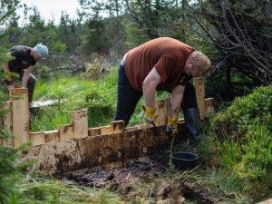 Nadace podpořila záchranu tetřívka i výsadbu druhově pestrých lesů