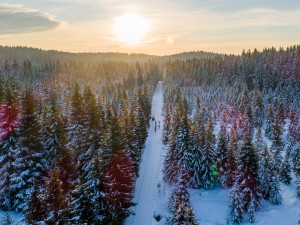 57. ČEZ Jizerská 50 naplnila kapacitu závodu na 50 km. Na zbylé trasy zbývají poslední desítky volných míst