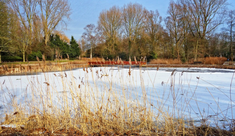 Mrazy končí, v týdnu bude až jedenáct stupňů