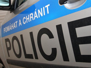 Policie pátrá po padesátileté ženě, která se od Silvestra neozývá. Nosí hnědou paruku