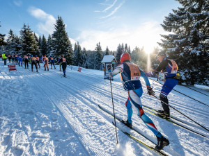 Veverkova 741/25 Praha 7