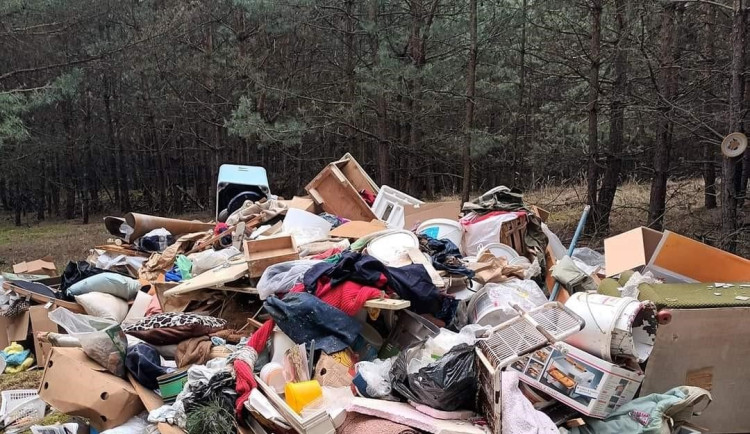 Lesy jsou plné černých skládek. V Libereckém kraji je jich nejvíc