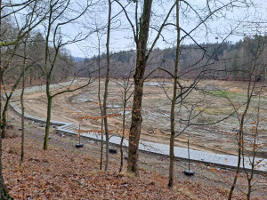 U přehrady pokácí kvůli obnově nábřeží přes 70 stromů. Nové zase vysadí