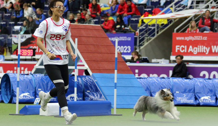 Momentka z MS v agility Liberec 2023.