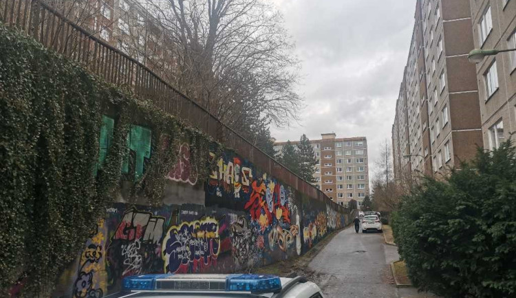 Hvězdná ulice, kde zasahovali strážníci.