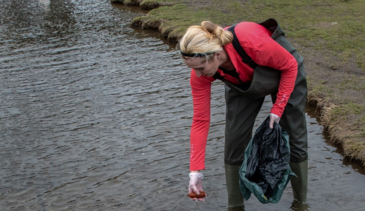 KOMENTÁŘ: Krmení zvířat - fenomén, který se vymkl jakékoliv soudnosti