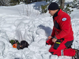 Hasiči se psy trénovali v Tatrách záchranu z laviny i hledání ve sněhu