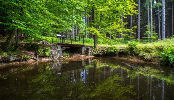 Horní tok Černé Nisy nabízí návštěvníkům naučnou stezku
