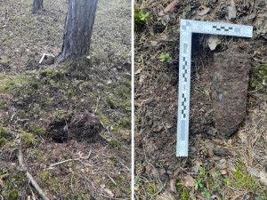 Pár našel na procházce v lese dělostřelecký granát. Zlikvidují ho pyrotechnici