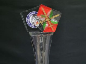 Staň se s Bílými Tygry policistou na zkoušku