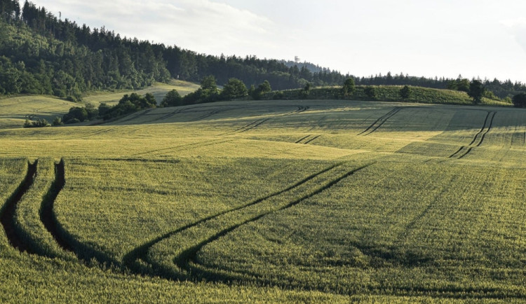 Tento týden se ochladí. Průměrné teploty klesnou o více než deset stupňů