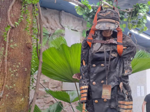 Motýlům nejvíc chutnají téměř nahnilé banány. Seznamte se s životem tropických druhů v nové expozici