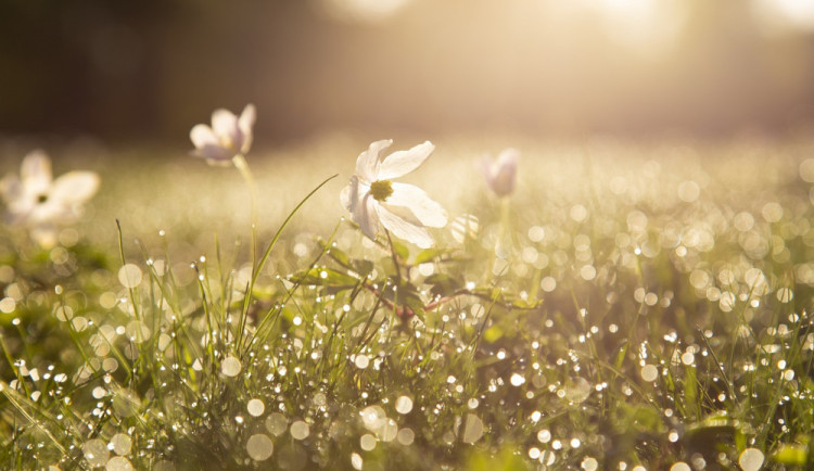 Během týdne naměříme až 26 stupňů. Pálení čarodějnic si užijeme v teple a bez deště