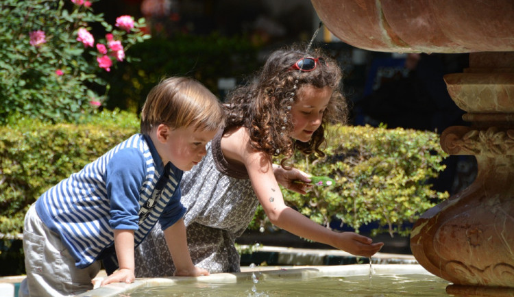 Mrazy v dubnu jsou normální. Problém byly tropické teploty, tvrdí klimatolog