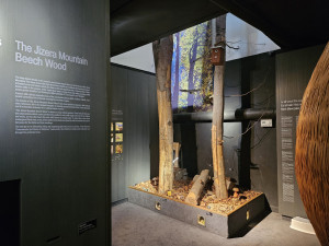 V Oldřichově v Hájích v ekocentru otevřeli Dům přírody Jizerských hor