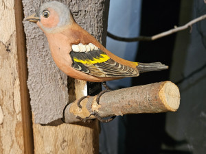V Oldřichově v Hájích v ekocentru otevřeli Dům přírody Jizerských hor