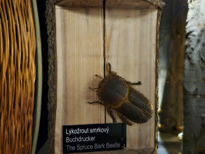 V Oldřichově v Hájích v ekocentru otevřeli Dům přírody Jizerských hor