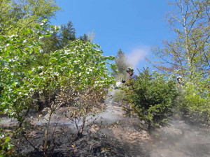 Riziko požárů výrazně vzrostlo. V lesích je zakázáno pálit klestí i kouřit