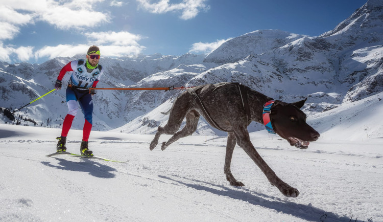 Lékař, sportovec a nastávající otec Alex Nosek bojuje s vážnou nemocí. Za dva dny mu lidé poslali miliony