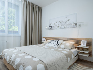 Zájem o bydlení v nájmu se i v Česku dostává do popředí