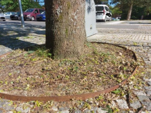 Lidé v Rychtářské se stále nedočkali dotažení úprav na sídlišti