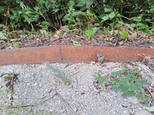 Lidé v Rychtářské se stále nedočkali dotažení úprav na sídlišti