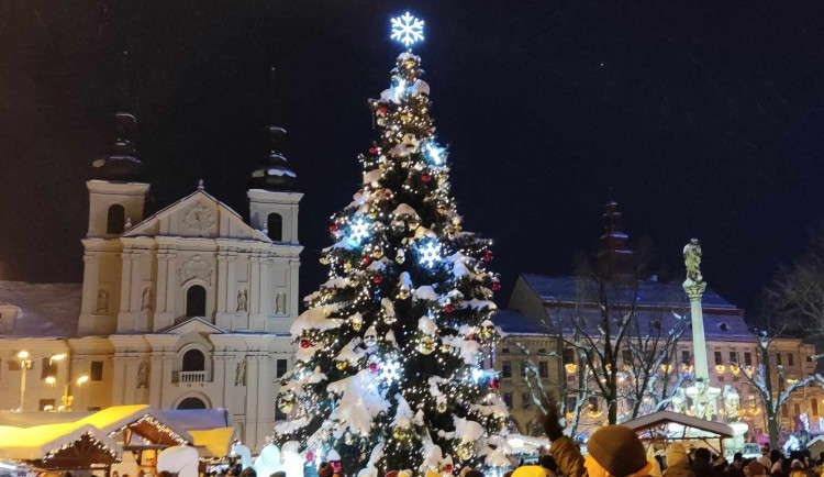 Nemáte na zahradě strom vhodný na Vánoce v Jihlavě? Pokud ano, dejte to vědět na radnici