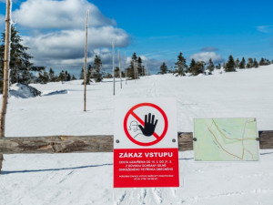 Správa KRNAP otevřela turistické cesty uzavřené na jaře kvůli ochraně tetřívka