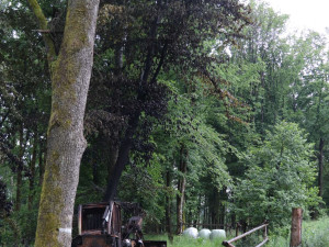 Z lesního stroje zůstalo po požáru jen ohořelé torzo. Událost řeší policie