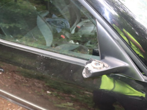 Statný jelen skončil nečekaně na projíždějící auto a zmizel v lese