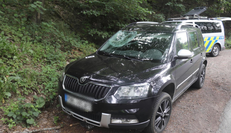 Auto po střetu s jelenem.