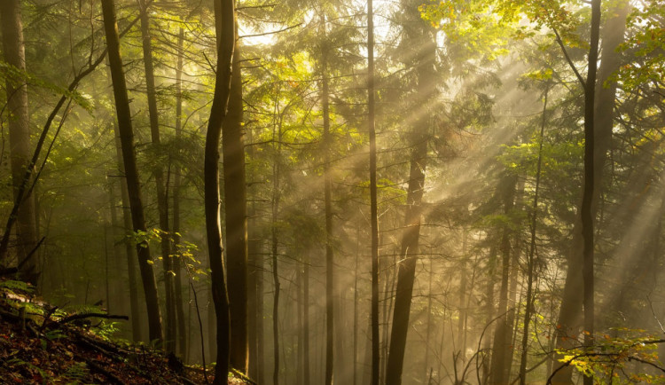 Sobota připomene léto, poté se ochladí a vrátí se déšť