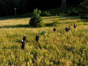 Vězni pomáhali myslivcům hledat na loukách srnčata přes sečením