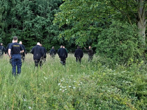 Vězni pomáhali myslivcům hledat na loukách srnčata přes sečením
