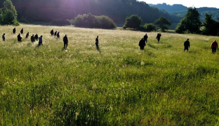 Před sečením procházeli louky a hledali mláďata.