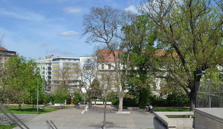 Pár v Brně se chystal k sexu na veřejnosti, svědek zavolal strážníky. Pochyboval, že s tím žena souhlasí