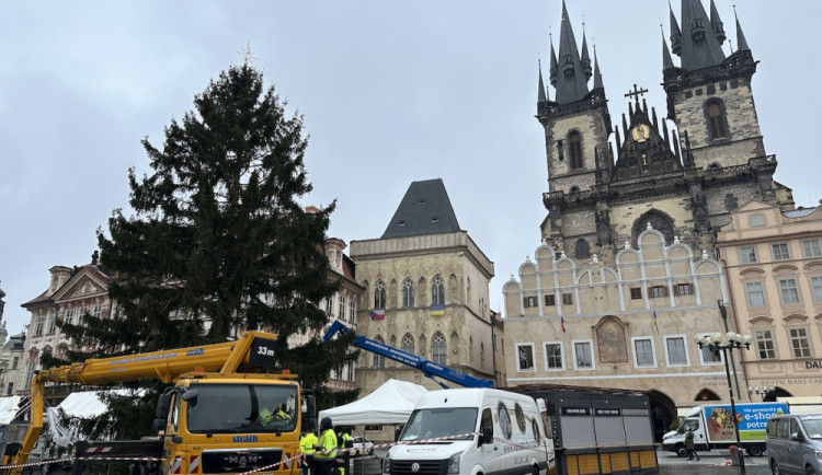 Praha hledá vánoční strom na Staromák. Za nejlepší tip nabízí deset tisíc