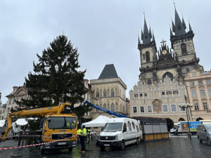 Praha hledá vánoční strom na Staromák. Za nejlepší tip nabízí deset tisíc