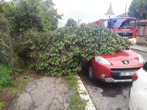 Hasiči v Libereckém kraji měli kvůli bouřce přes sto zásahů, nejvíc kvůli stromům