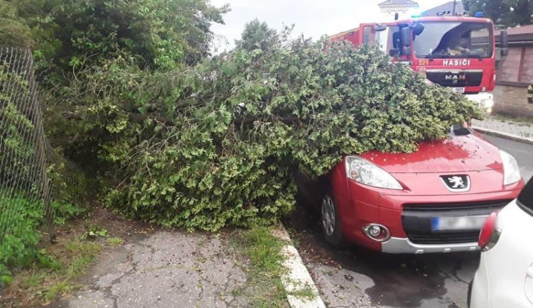 Hasiči v Libereckém kraji měli kvůli bouřce přes sto zásahů, nejvíc kvůli stromům