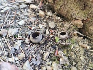 (NE)OBYČEJNÍ: Houby najde i na sídlišti, raději je fotí. Jím je výjimečně, říká houbař Petr Lukáš