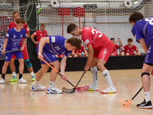 V Liberci skončily České akademické hry. Domácí univerzita na pátém místě