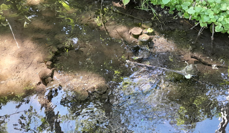 Jablonec nad Nisou chce obnovit koryto Bílé Nisy a udělat z něj odpočinkovou zónu. Návrh vyjde na tři miliony