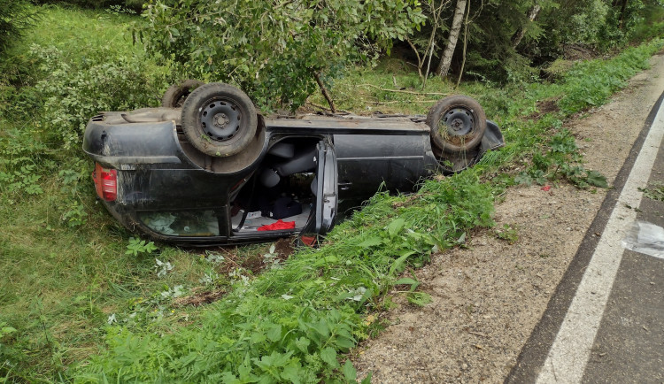 Auto vyletělo ze silnice a poškodilo vozí hnízdo. Vosy pak napadaly záchranáře, kteří vyprošťovali těžce zraněné