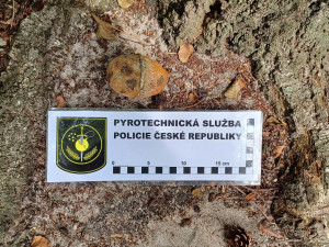 Pyrotechnik uzavřel hlavní pláž na Mácháči, brigádníci od šlapadel tam našli granát z druhé světové