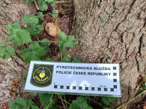 Pyrotechnik uzavřel hlavní pláž na Mácháči, brigádníci od šlapadel tam našli granát