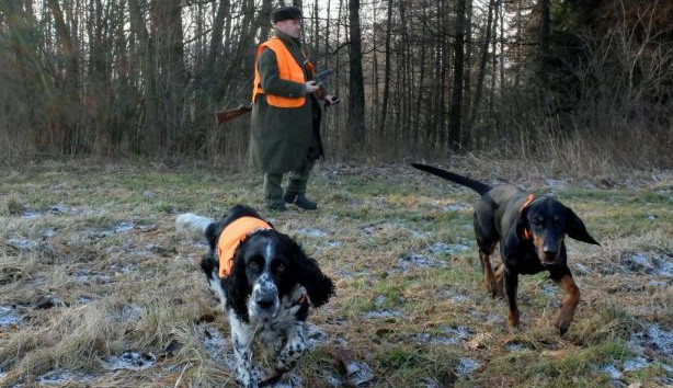 Mimořádné veterinární opatření – celý srpen zákaz lovu zvěře!