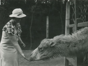 Liberecká zoo slaví 120. narozeniny. Na čtvrtek připravila speciální program a zvýhodněné vstupné