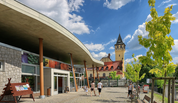 Liberecká zoo slaví 120. narozeniny. Na čtvrtek připravila speciální program i zvýhodněné vstupné