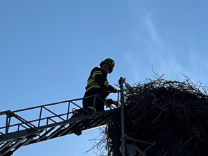 Kamera ve frýdlantském čapím hnízdě je vyčištěná, za rok bude se zoomem a zvukem